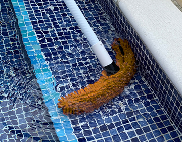 Aquafingers pool broom