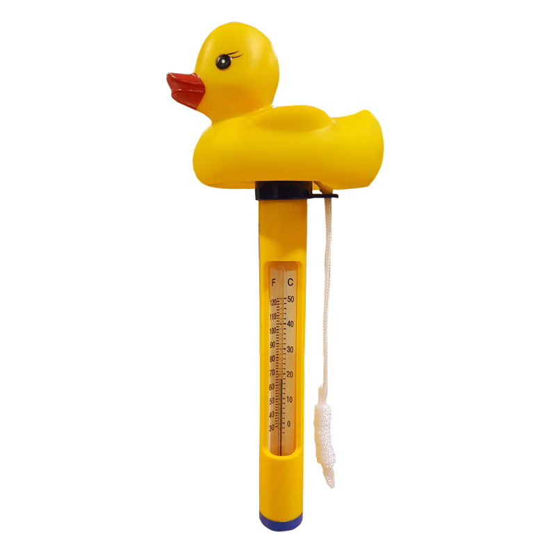Novelty Floating Thermometers for Swimming Pools and Spas