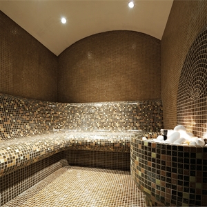 Harvia Standard Steam Rooms