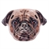 Pug Face Island