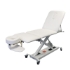 Affinity Sports Pro Motorised Massage Table