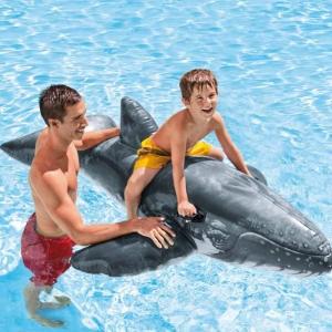 https://www.allswimltd.com/images/thumbs/0014824_realistic-whale-ride-on_300.jpeg