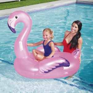 Flamingo Rider