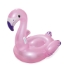 Flamingo Rider