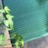 Slatted Pool Cover Replacement Slats