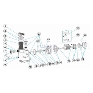 Astral Victoria Plus Pool Pump Spares 