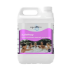 Aquasparkle Spa Scale Away 