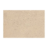 Concrete Beige Porcelain Coping Stones  